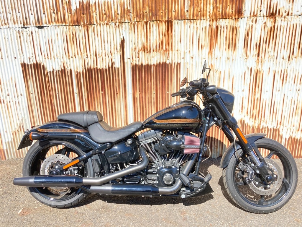 OTHER HARLEY FXSE CVO (0км)